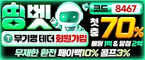 띵벳