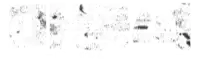 마동석