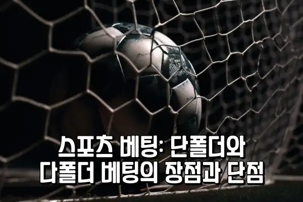 001_Sb36b5DpY1.webp