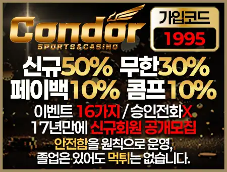 콘도르